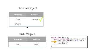 Java: Object Oriented Programming Concepts - Inheritance