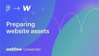 Webflow University between the lessons: Compositing & preparing website assets