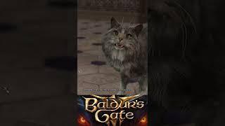 НАГЛЫЕ КОТЫ в baldurs gate 3 - funny cats / котики приколы юмор #baldursgate3  #юмор #shorts