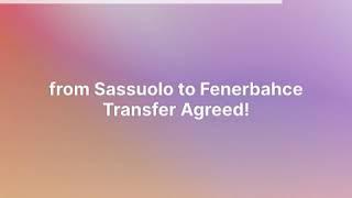 Transfer Agreed: Right-Back Mert Müldür - from Sassuolo to Fenerbahce