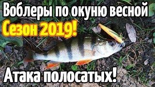 ВОБЛЕРЫ ДЛЯ ЛОВЛИ ОКУНЯ ВЕСНОЙ РЫБАЛКА 2019