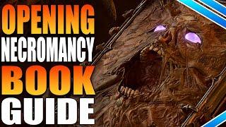 How To Open The Necromancy Of Thay Book In Baldur's Gate 3 Find Dark Amethyst