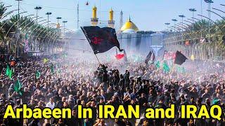 Arbaeen Walk 2024 - The Largest Human gathering IN THE WORLD!! 