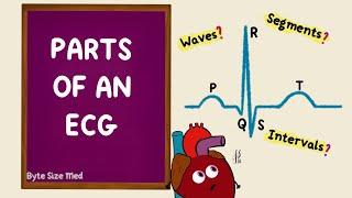 Parts of an ECG | EKG Basics | Waves Segments Intervals | Cardiac Physiology