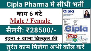 Cipla ltd Recruitment 2024 || Cipla Medicine Job Vacancy 2024 || latest job 2024 || StirelessZone