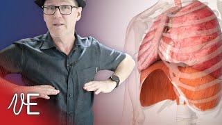 Sing from Diaphragm? Myth Busted - Watch Now! | #DrDan 