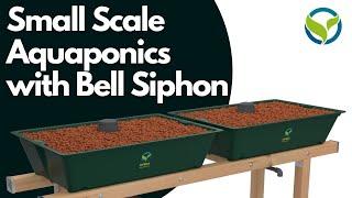 Small Scale Aquaponics Setup with Bell Siphon: DIY Instruction