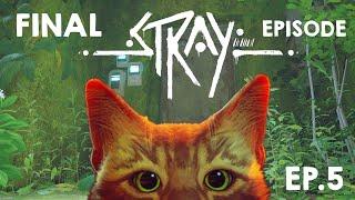 Stray: Will we make it OUTSIDE?! Season FINALE!