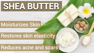 Uses and Benefits of Shea Butter - Bee Elite Essentials