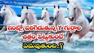 7 Horse Painting Vastu Direction in Telugu | Vastu for Horse Pictures| Money Attraction Paintings