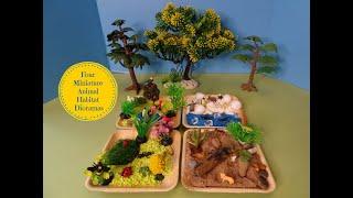 Four Mini Small World Animal Dioramas -Arctic, Birds, Desert, & Garden Animals - Learn Animal Names