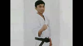 Perkemi sulut (Fay_shorinji) Shorinji kempo