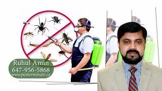 Pesterminate Professional Pest Control TV AD