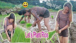 A DAY IN THE PROVINCE: IBOT TAGOD AND PLANTING RICE | Maricel Dupit