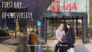 first day of university in Kristiansand, Norway: campus tour & going to the mall! | aaulianns