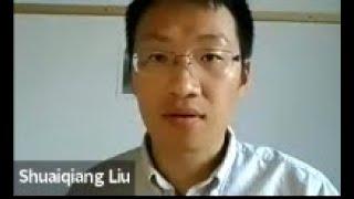 Shuaiqiang Liu, Deep learning for large time-step simulations of stochastic differential equations