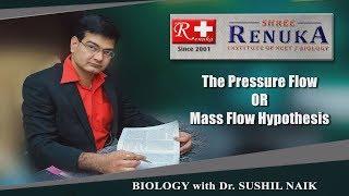 The Pressure Flow or Mass Flow Hypothesis in English