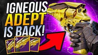 Igneous Hammer Adept is HERE is Better than ever ! (New perks)