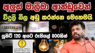 මාලීමා ආන්ඩුවෙන් ව්දුලි බිල අඩු වෙන හැටි මෙන්න️ Electricity Bill Price Update 2024 Npp