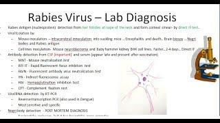 Microbiology 518 c Rabies Virus Lab Diagnosis Negri bodies Laboratory Detection