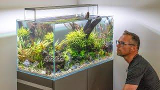 Pro Grade High Tech Aquascape Makeover (4K)