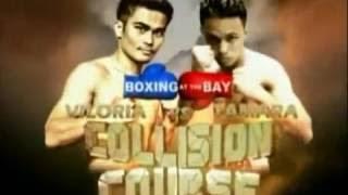 Brian Viloria vs. Carlos Tamara