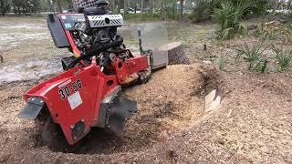 Barreto 30SG Stump Grinder VS 52 Inch Stump