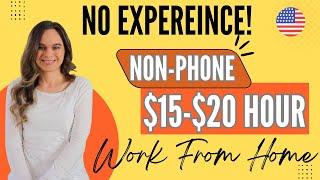 No Experience Needed, Type What You Hear, Data Entry Work From Home Jobs 2024 | No Degree Needed