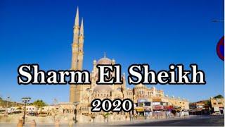 Sharm El Sheikh, 2020.