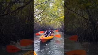 Kayaking Adventures Saligrama, Kundapura, Udupi. #kayaking #udupi #kundapura #tourism