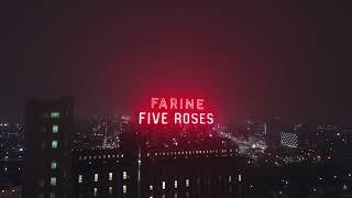 Farine Five Roses | /Hiphop/Rap/Lo Fi/Trap Type Beat Instrumental |