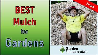 Best Mulch for Ornamental Gardens ️ Learn to mulch correctly and grow better plants