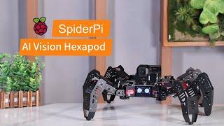 Hiwonder SpiderPi: AI Intelligent Visual Hexapod Robot Powered by Raspberry Pi