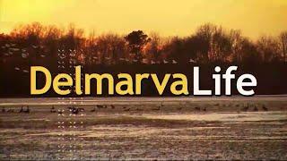 WBOC - Delmarva Life - 3/4/2024