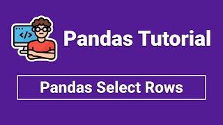 pandas select rows