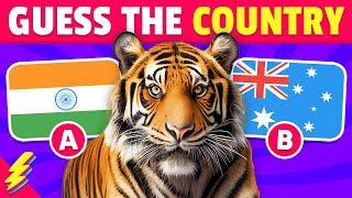 Guess The Country by The National Animal 