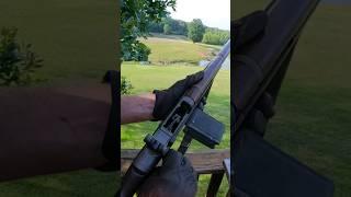 M1 Garand Ping