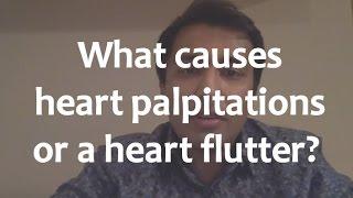 What causes heart palpitations or a heart flutter?