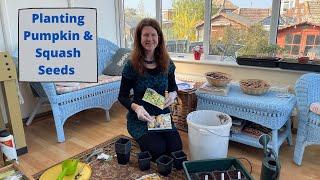 How To Plant Pumpkin And Squash Seed - Allotment UK