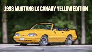 Feature Fox Body - What is the Canary Yellow Edition Mustang?