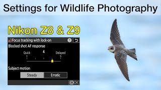 How I set up the Nikon Z8 and Z9 for Bird and Wildlife Photography - Important Settings