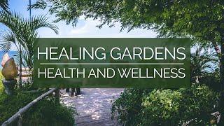 Rehabilitation With Healing Gardens | Positive Attitude For Health And Wellness