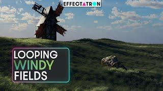Create a Looping Field of Grass Blowing in the wind with Quixel in C4D | Redshift
