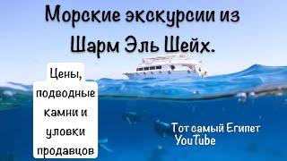 Нюансы и схемы обмана. Топ морских экскурсий из Шарм Эль Шейх Египет 2024.