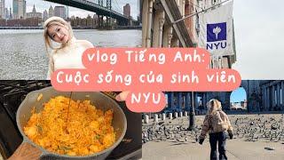 vlog tiếng Anh: cuộc sống của sinh viên NYU