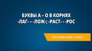 Буквы а – о в корнях -лаг- – -лож-; -раст- - -рос