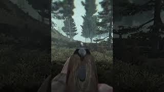 Why Grass ON is a bad idea in Stalker Gamma #shorts #stalker2 #stalker #anomaly #stalkeranomaly #fps