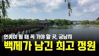 [부여편] 궁남지... 이렇게 멋진 연못을 남긴 백제인들은 어떤 사람? [한국, 어디까지 가봤니]