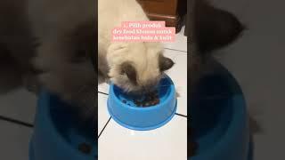 Tips cara perawatan bulu kucing #shorts