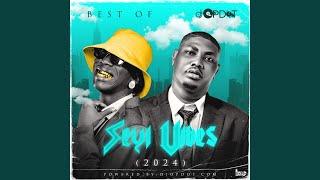 Best Of Seyi Vibez (2024)